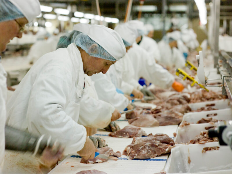 Workers Cutting Meat at Slaughterhouse Assembly Line